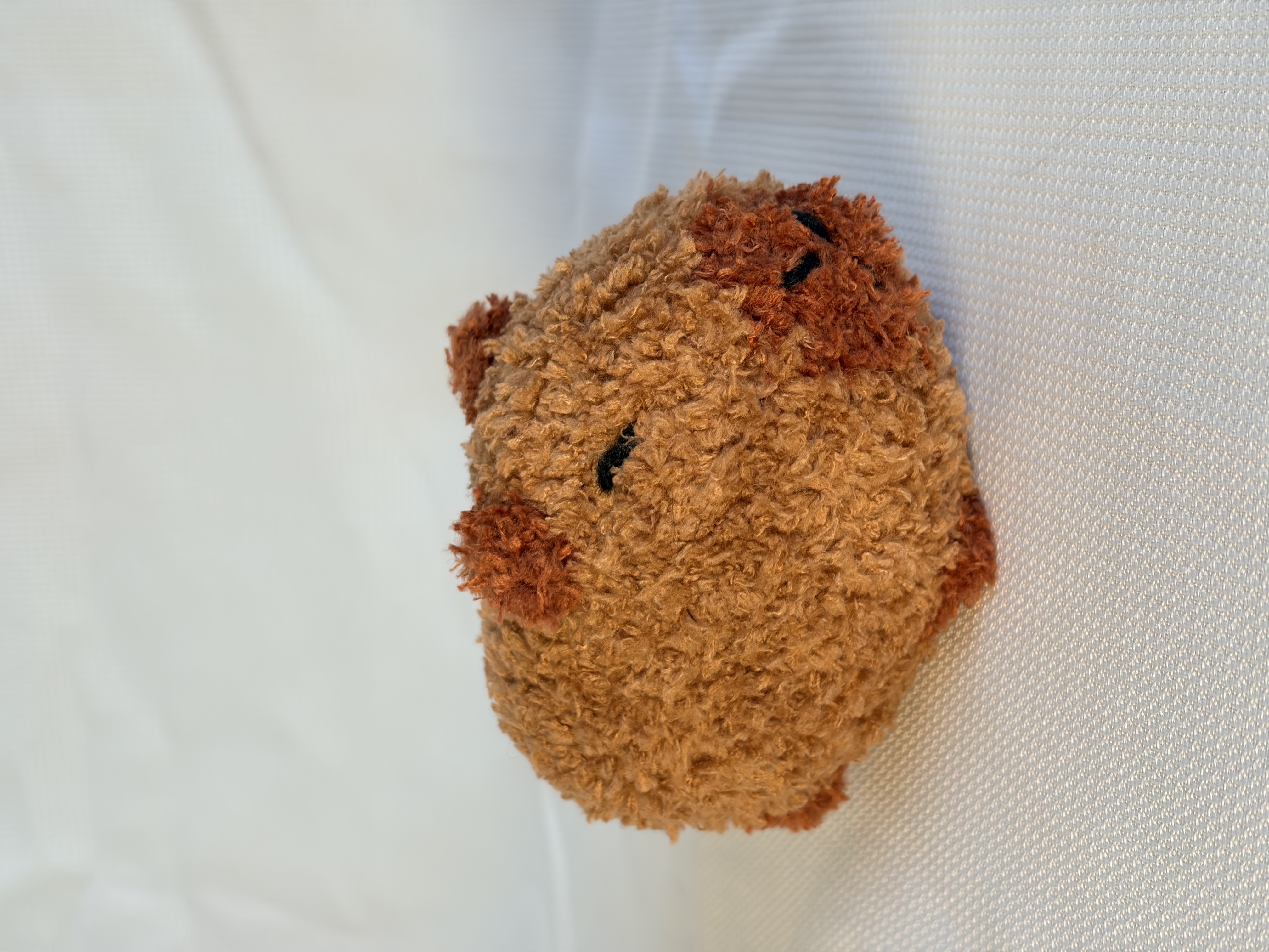Fuzzy weighted cappbara