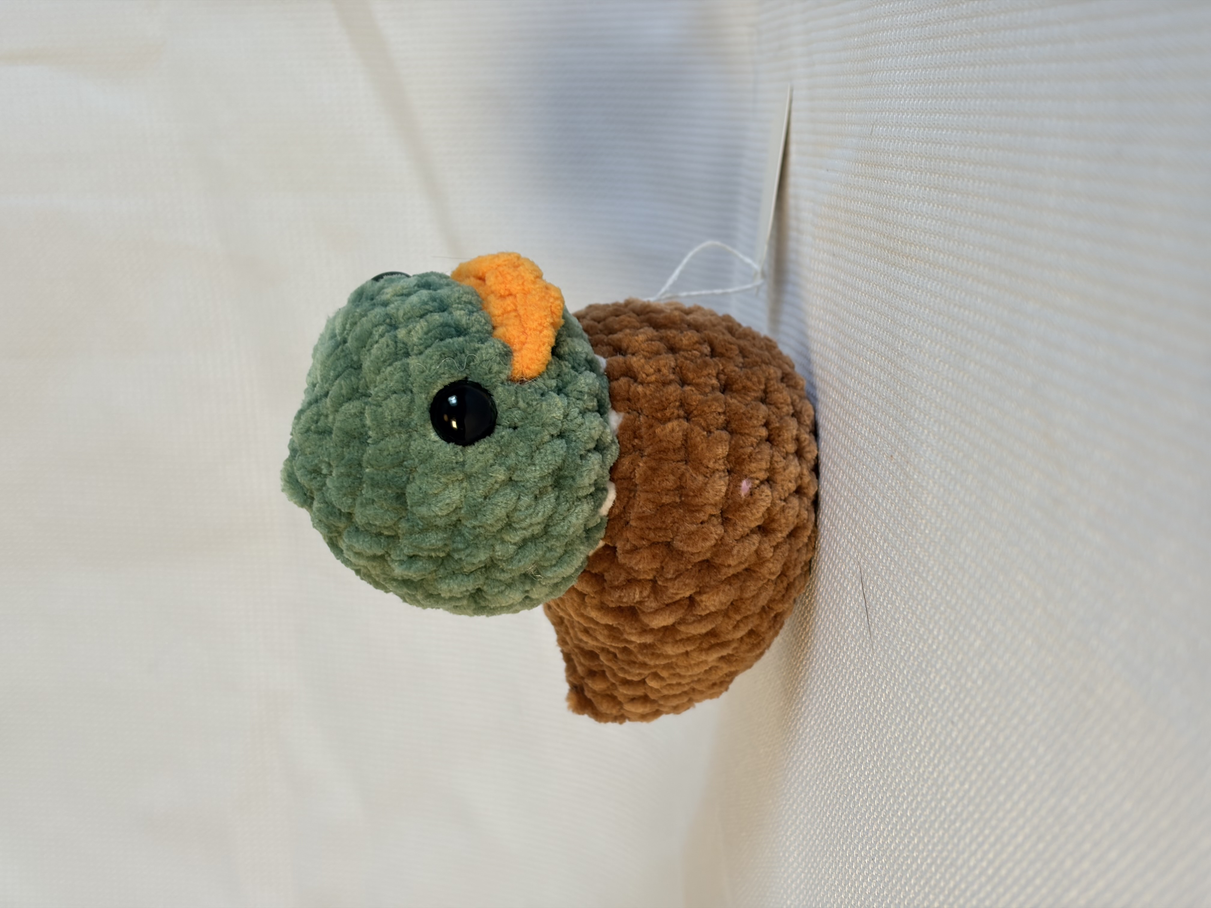 Ducks