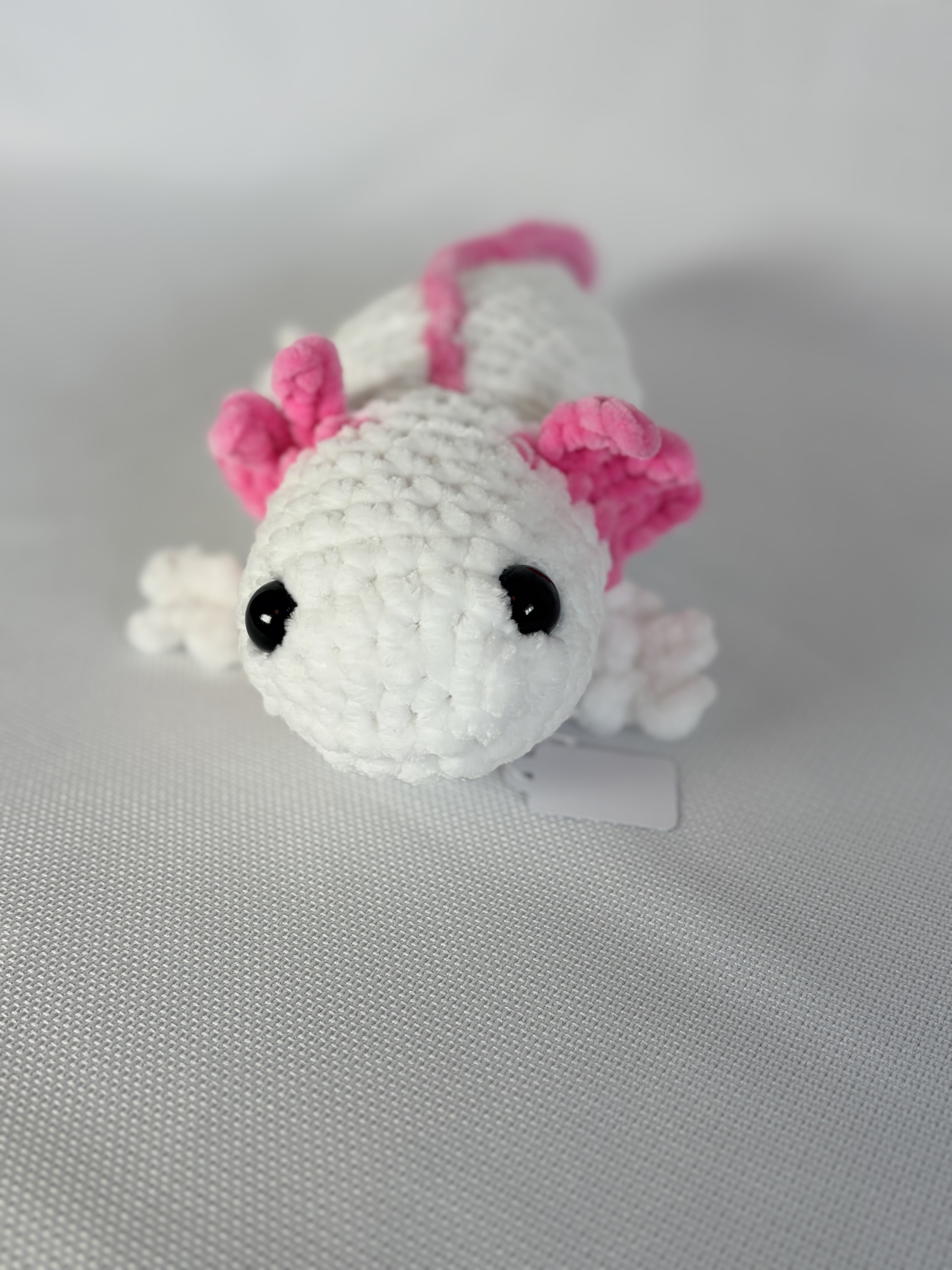 Axolotl’s